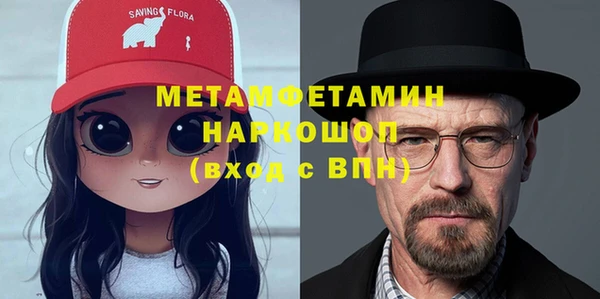 ГАЛЛЮЦИНОГЕННЫЕ ГРИБЫ Заволжье