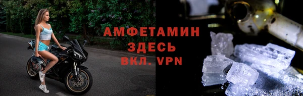 ГАЛЛЮЦИНОГЕННЫЕ ГРИБЫ Заволжье