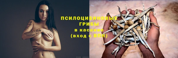 ГАЛЛЮЦИНОГЕННЫЕ ГРИБЫ Заволжье