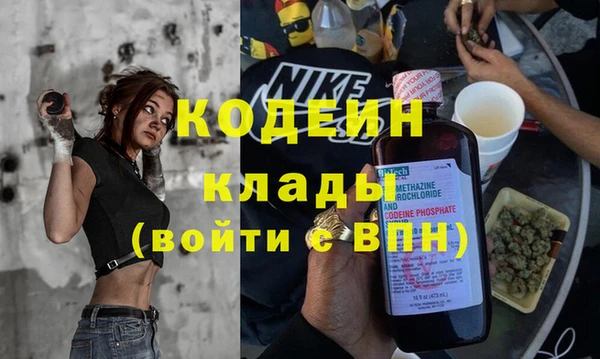 ГАЛЛЮЦИНОГЕННЫЕ ГРИБЫ Заволжье