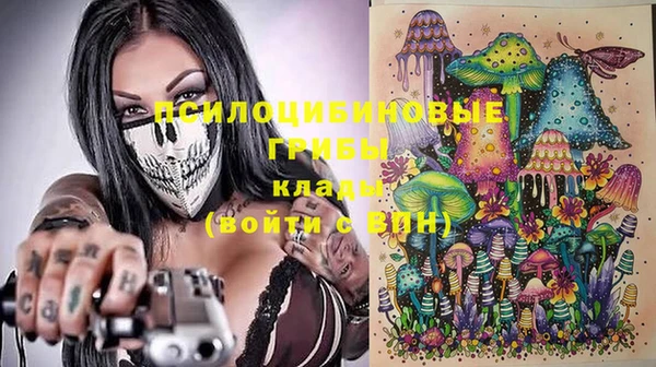 крисы Заволжск