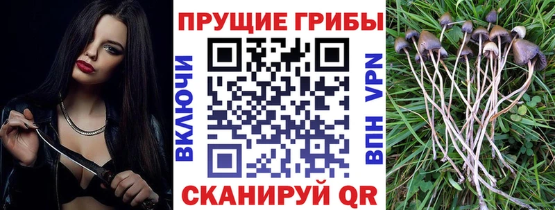 Галлюциногенные грибы GOLDEN TEACHER  Купить где  Мамадыш 